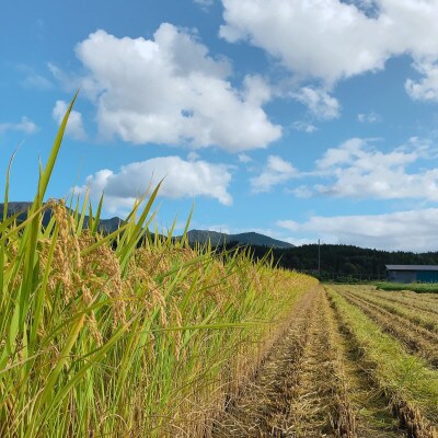 令和5年　厳選はえぬき 精米　10kg(5kg×2袋)