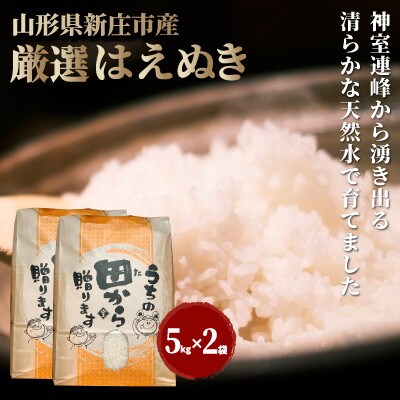 先行受付　令和5年　厳選はえぬき 10kg (精米)5kg×2袋