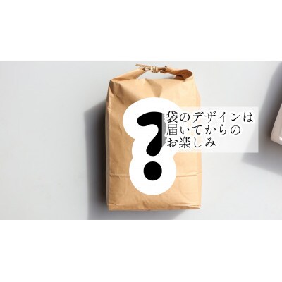 先行受付  令和5年　黒澤のササニシキ　精米　10kg