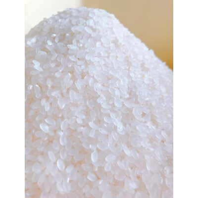 先行受付　 令和5年　黒澤のはえぬき 精米　5kg ×2袋