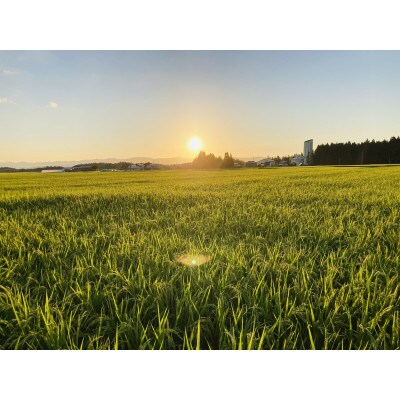 先行受付　 令和5年　黒澤のはえぬき 精米　5kg ×2袋