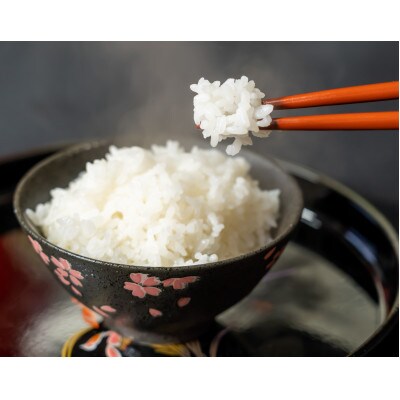 魅惑のはえぬき(精米)25kg