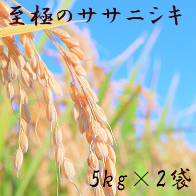 令和4年　至極のササニシキ(精米)5kg×2袋