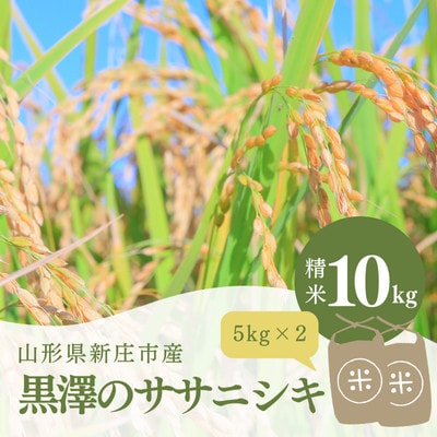 令和6年　黒澤のササニシキ　精米　10kg(5kg×2)