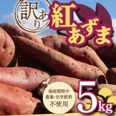 栽培期間中、農薬・化学肥料不使用 ホクホクの『訳あり紅あずま』5kg