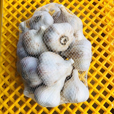 最上伝承野菜【最上赤にんにく】700g 2Lサイズ