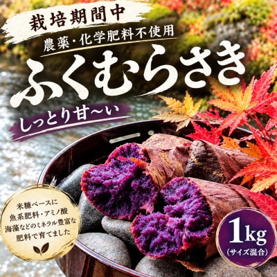 栽培期間中、農薬・化学肥料不使用　しっとり甘～い『ふくむらさき』1kg(サイズ混合)