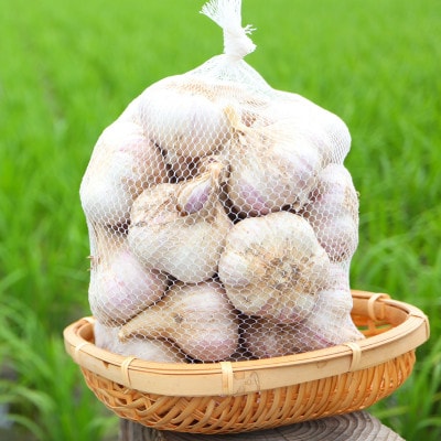 最上赤にんにく300g(M、L、2Lサイズの混合)