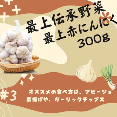 最上赤にんにく300g(M、L、2Lサイズの混合)