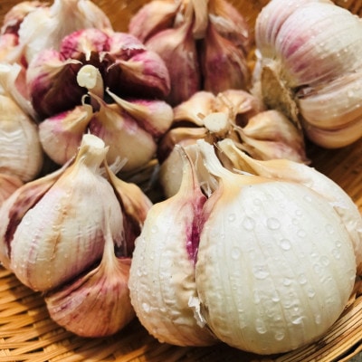 最上赤にんにく300g(M、L、2Lサイズの混合)