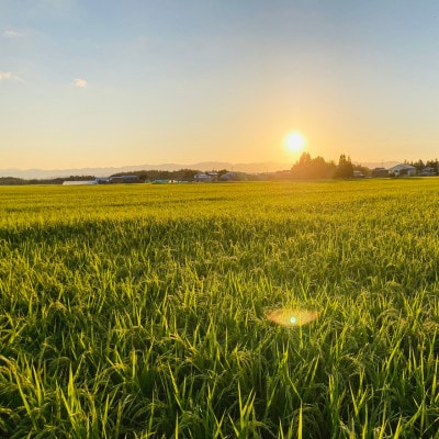 令和7年産　雪吻(山形県産ササニシキ、精米)5kg