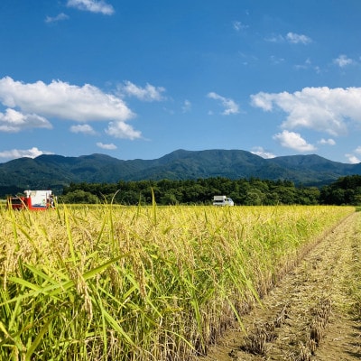 令和6年産　極みのササニシキ(精米)3kg