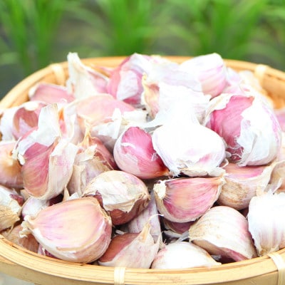 最上伝承野菜【最上赤にんにく】 450g(バラ)
