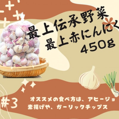 最上伝承野菜【最上赤にんにく】 450g(バラ)