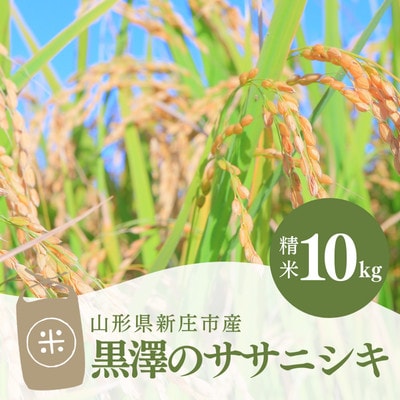 黒澤のササニシキ 10kg(精米)