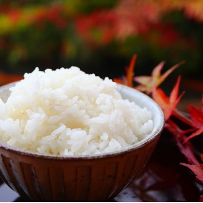 至福のササニシキ(精米)3kg