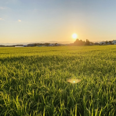 至福のはえぬき(精米)3kg