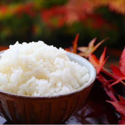 黒澤のササニシキ 1kg 精米