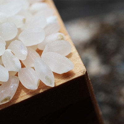 黒澤のササニシキ 1kg 精米