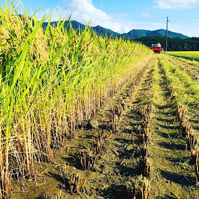 厳選 ササニシキ 精米 1kg