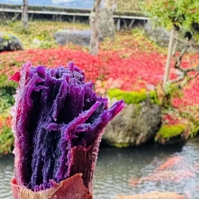 熟成焼き芋　ふくむらさき 300g 小芋サイズ　冷凍でお届け
