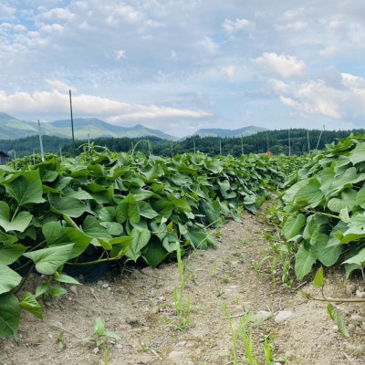 自然が育む『あまはづき』1kg