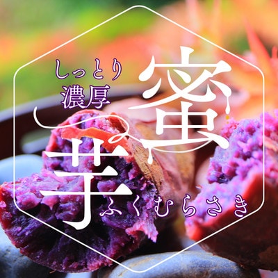 【2026年11月より順次発送】ふくむらさき 1kg 栽培期間中農薬不使用