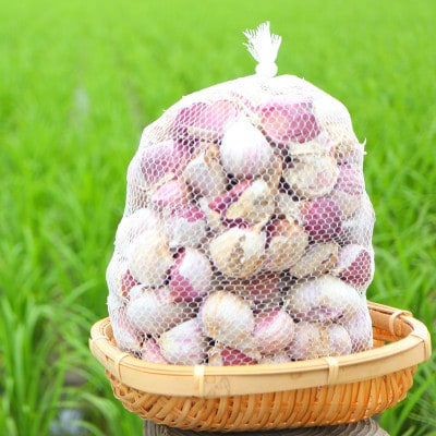 最上伝承野菜【最上赤にんにく】 900g(バラ)