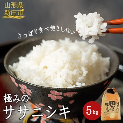 【毎月定期便】極みのササニシキ(精米)5kg 全3回