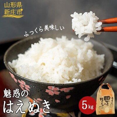 【発送月固定定期便】魅惑のはえぬき(精米)5kg全3回