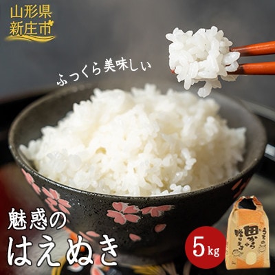 【毎月定期便】魅惑のはえぬき(精米)5kg全3回