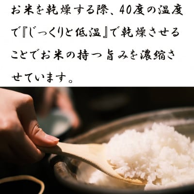 【発送月固定定期便】魅惑のはえぬき(精米)10kg(5kg×2袋)全3回