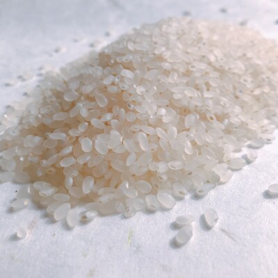 【発送月固定定期便】魅惑のはえぬき(精米)10kg(5kg×2袋)全3回
