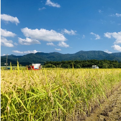 【発送月固定定期便】魅惑のはえぬき(精米)10kg(5kg×2袋)全3回