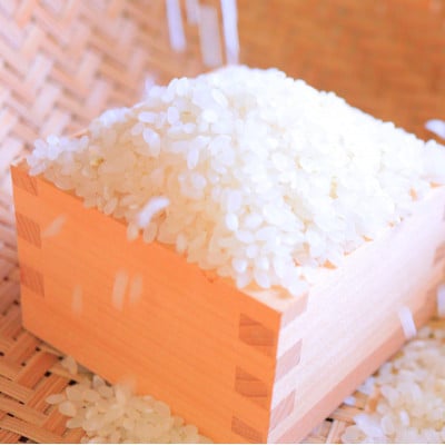 【毎月定期便】黒澤のはえぬき(精米)3kg全3回