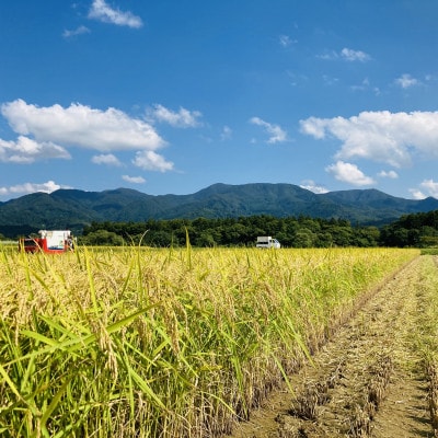 【毎月定期便】黒澤のはえぬき(精米)3kg全3回