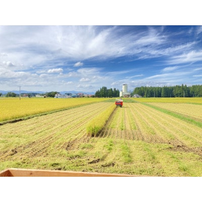 【毎月定期便】至福のはえぬき(精米)3kg全3回