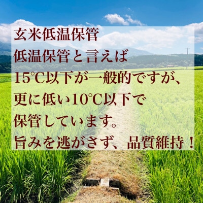 【毎月定期便】極みのササニシキ(精米)　3kg全6回