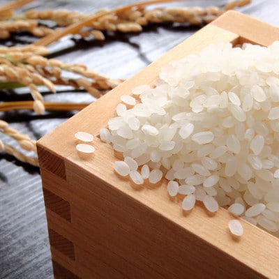 【毎月定期便】魅惑のはえぬき(精米)10kg(5kg×2袋)　全3回
