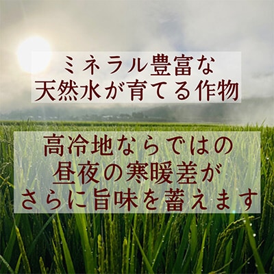 2023年5月発送開始『定期便』極みのササニシキ10kg(5kg×2個)全12回