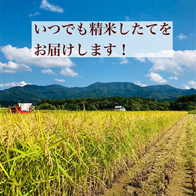 2022年9月発送開始『定期便』極みのササニシキ(精米)5kg全12回