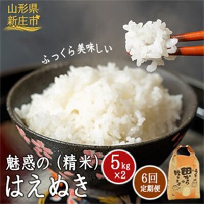 2022年12月発送開始『定期便』魅惑のはえぬき10kg(5kg×2袋) 全6回