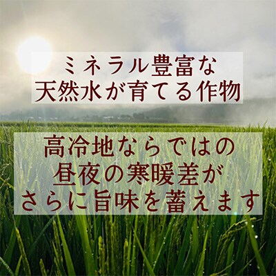 2022年12月発送開始『定期便』魅惑のはえぬき10kg(5kg×2袋) 全6回