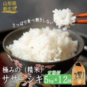2023年11月発送開始『定期便』極みのササニシキ(精米)5kg全12回