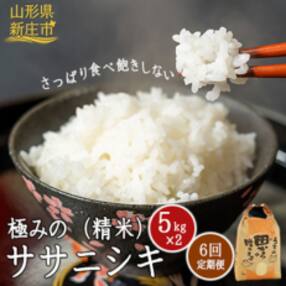 2023年11月発送開始『定期便』極みのササニシキ10kg(5kg&times;2個)全6回