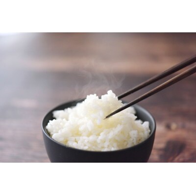 《先行受付》山形県産米 雪若丸5kg