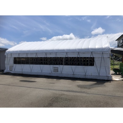 新庄市産干きくらげ100g×4袋