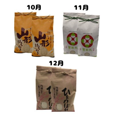 【発送月固定定期便】《先行受付》山形県産米10kg食べ比べ定期便 全3回