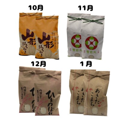 【発送月固定定期便】《先行受付》山形県産米10kg食べ比べ定期便 全4回
