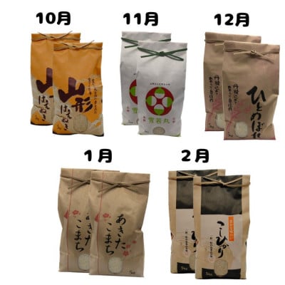 【発送月固定定期便】《先行受付》山形県産米10kg食べ比べ定期便 全5回